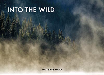 into the wild, libro matteo de maria